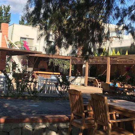 Meggs Bodrum Beach Restaurant & Hotel Ortakent Dış mekan fotoğraf