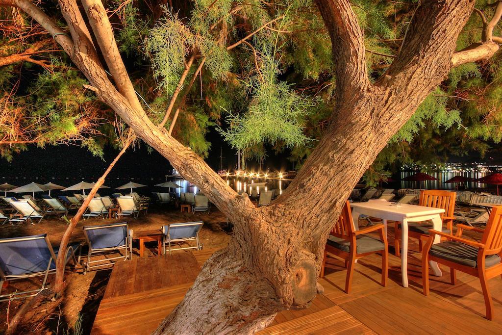 Meggs Bodrum Beach Restaurant & Hotel Ortakent Dış mekan fotoğraf