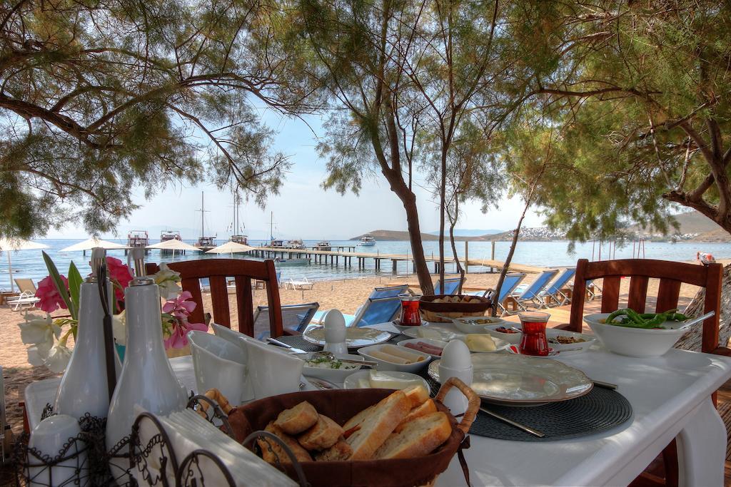 Meggs Bodrum Beach Restaurant & Hotel Ortakent Dış mekan fotoğraf