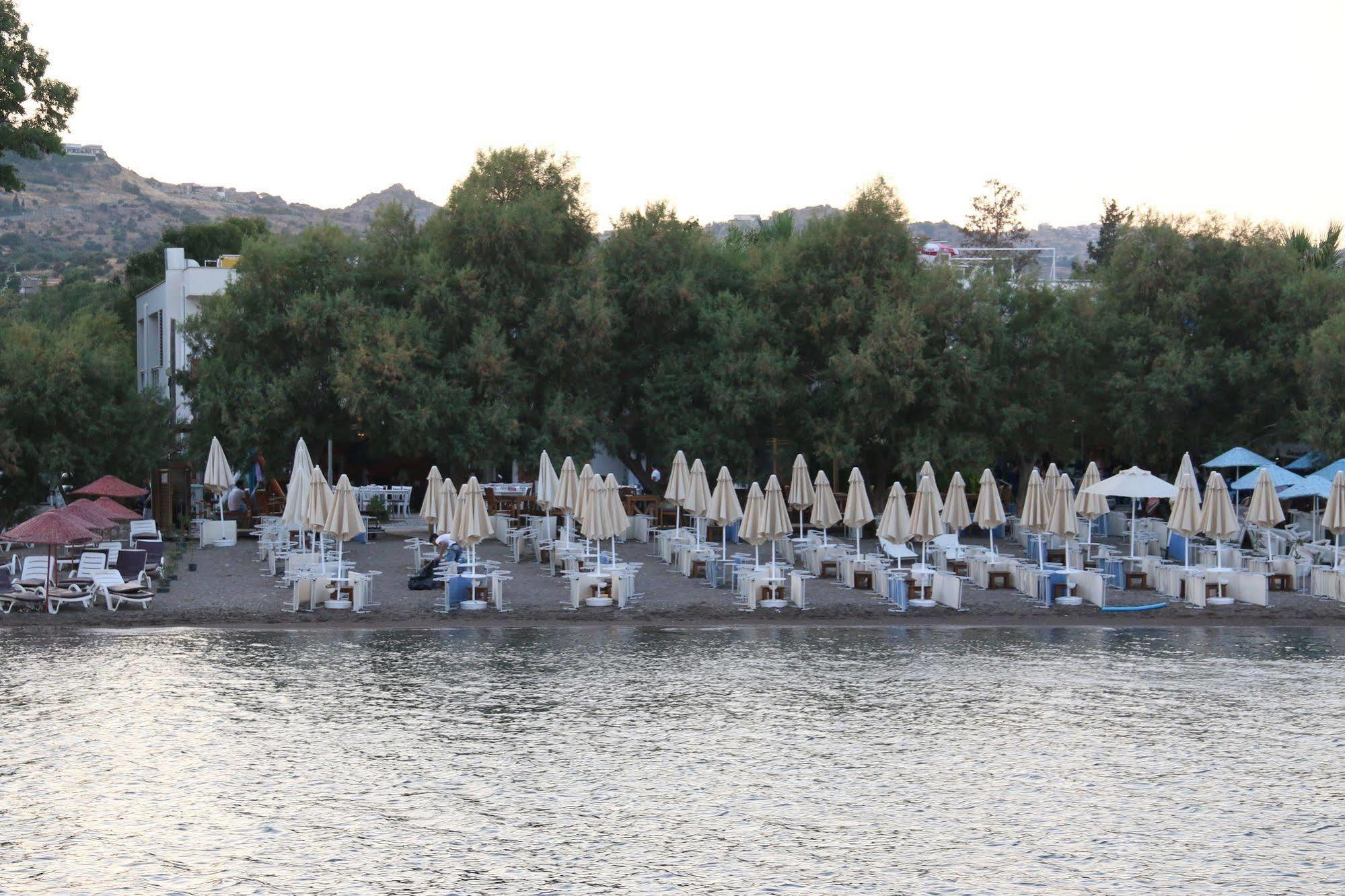 Meggs Bodrum Beach Restaurant & Hotel Ortakent Dış mekan fotoğraf