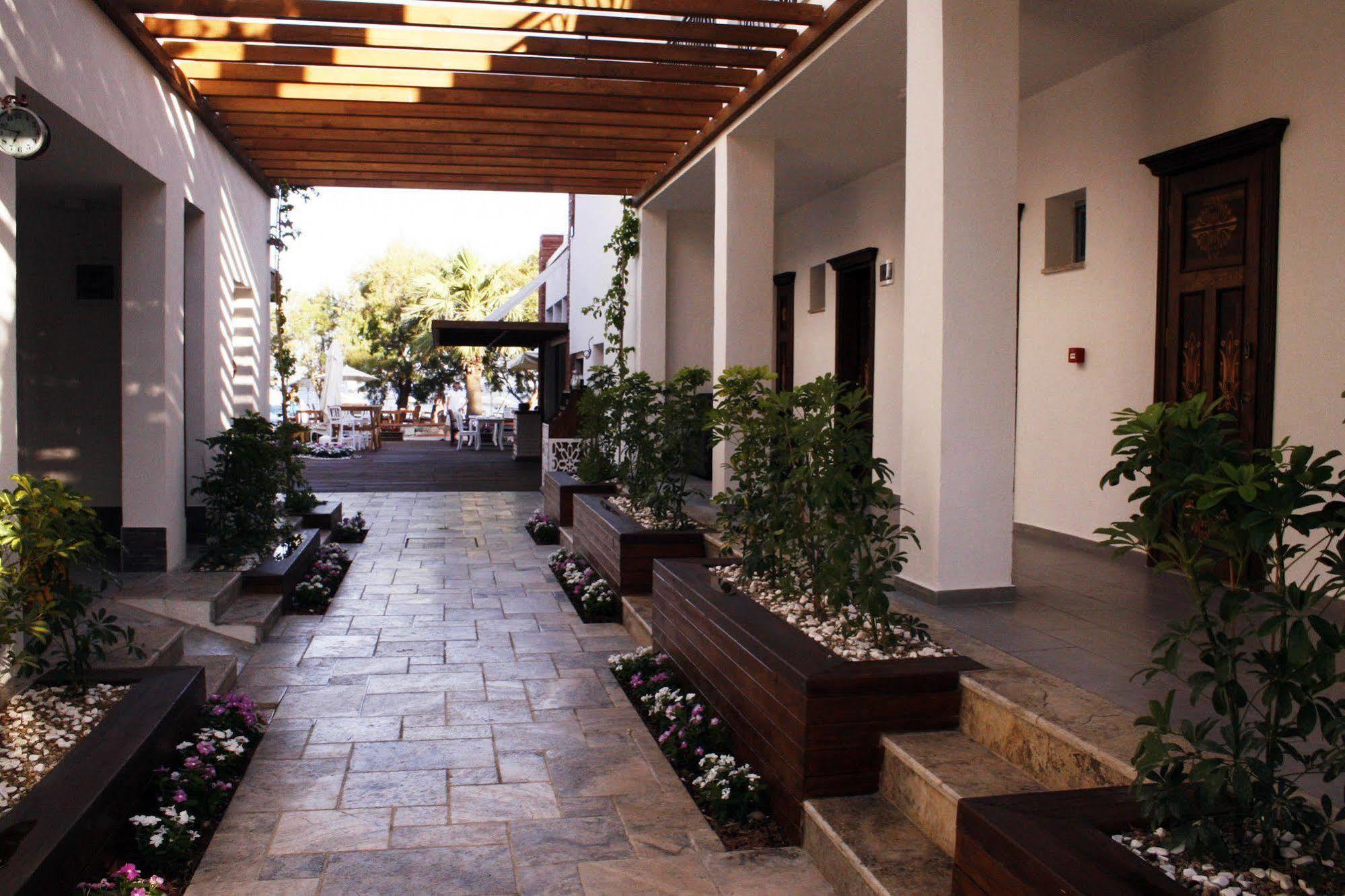 Meggs Bodrum Beach Restaurant & Hotel Ortakent Dış mekan fotoğraf